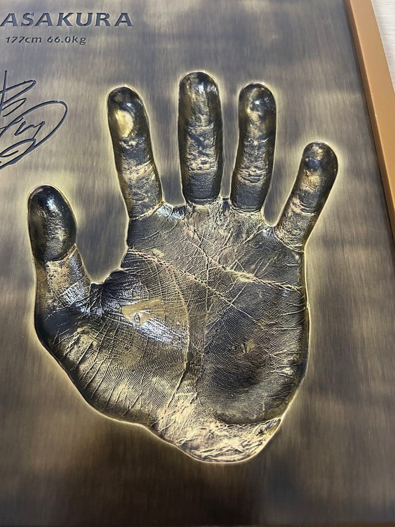 朝倉未来プレミアムハンドプレート限定 名前刻印無し│rodoku.co.jp