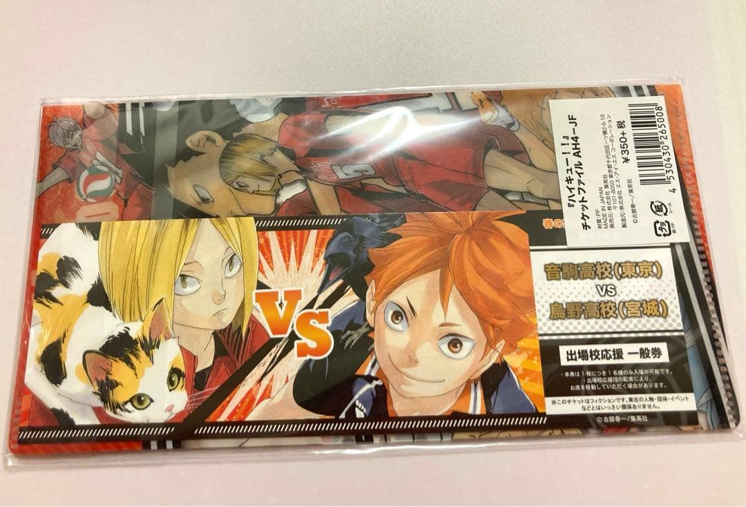 ハイキュー ゴミ捨て場の決戦 チケットファイル チケット付き 日向翔陽