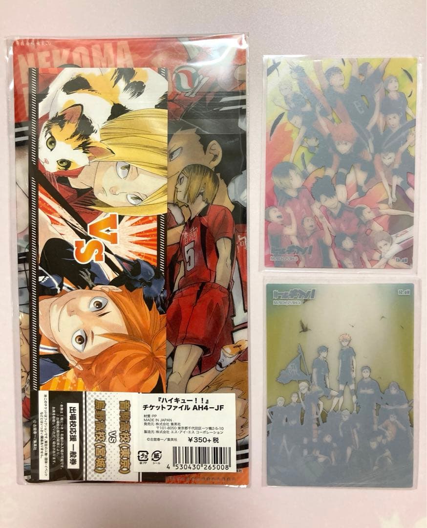 ハイキュー ゴミ捨て場の決戦 チケットファイル チケット付き 日向翔陽