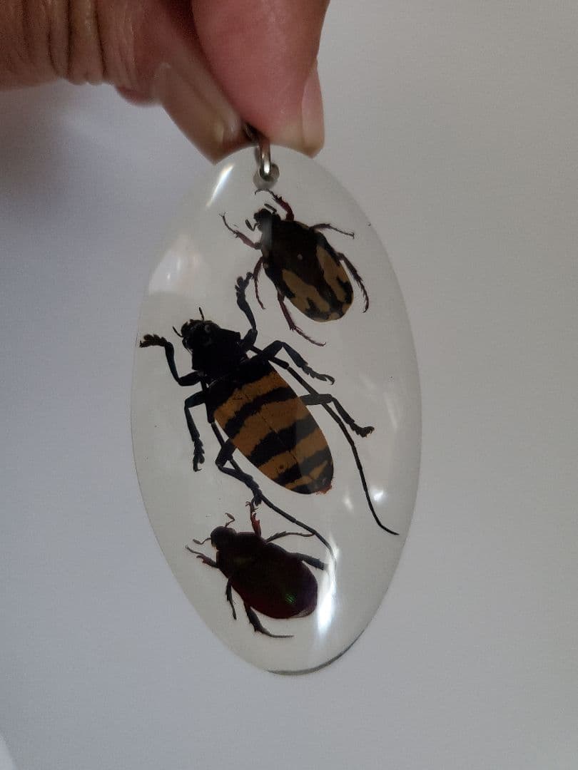 インドネシア産 カミキリムシ キーホルダー 6点セット