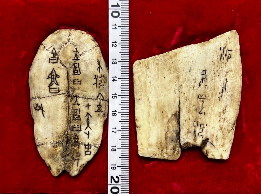 中国美術 希少 時代 古殷墟甲骨文 参考資料