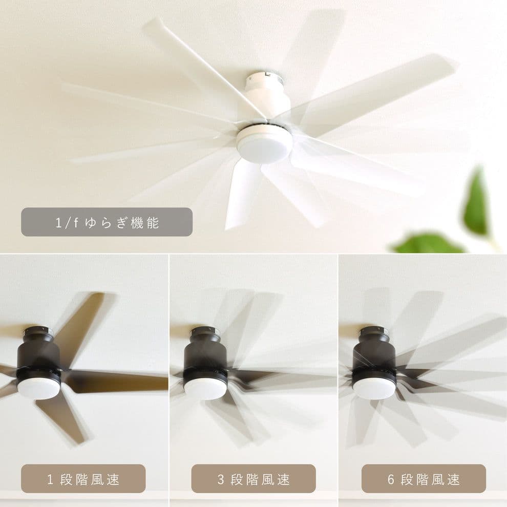 ホワイト　シーリングファンライト リモコン付き　Finia（フィニア）