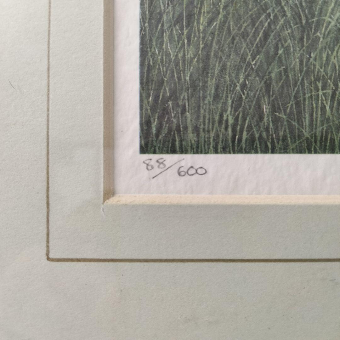 F203 D.M.HINCHLIFFE ヒンチリフ リトグラフ 600部限定 額