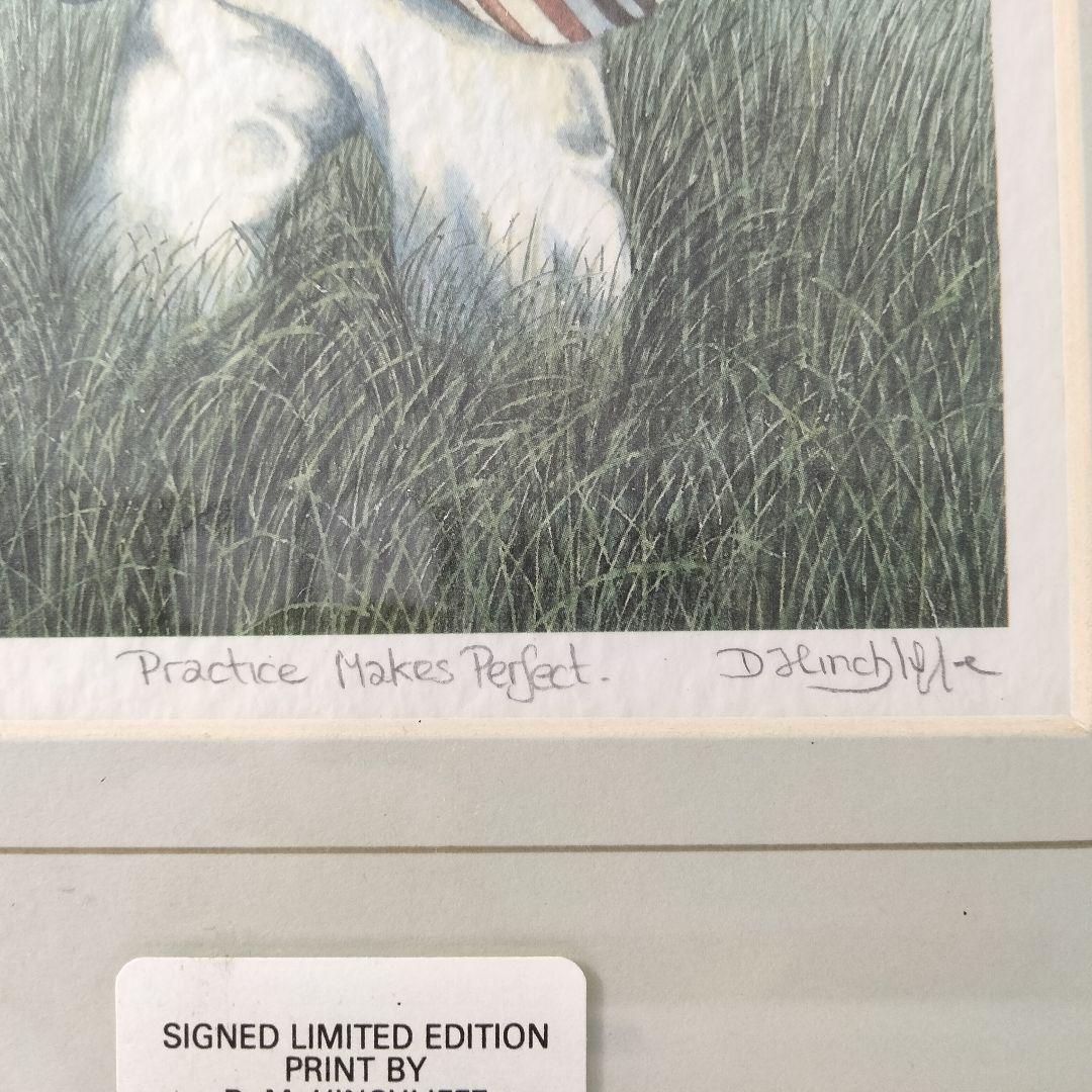 F203 D.M.HINCHLIFFE ヒンチリフ リトグラフ 600部限定 額