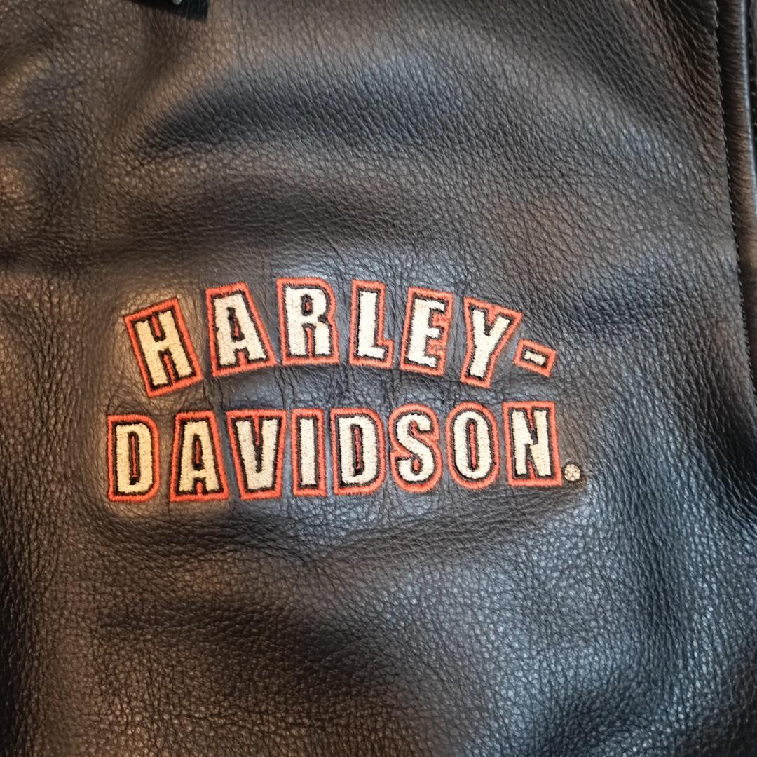 HARLEY DAVIDSONジャケット L ライナー付(97110-07VM)