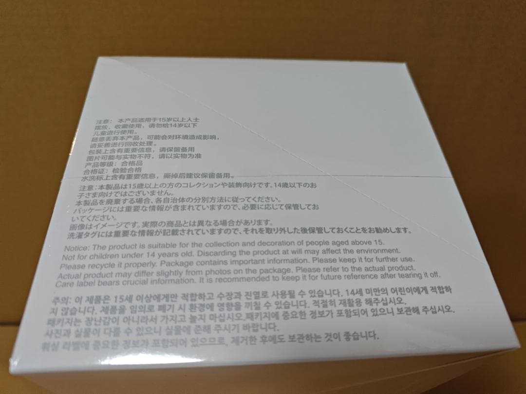 未開封・正規品　ラブブ Big into Energy アソートボックス 11個