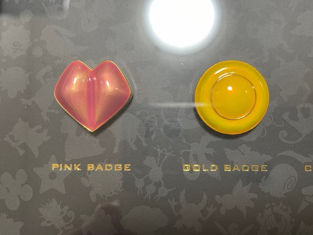 【受注生産】ジムバッジコレクション コンプリートセット 赤緑