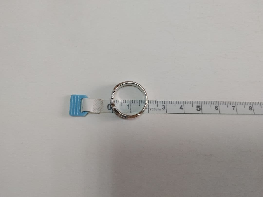 n*e様 スリーピングライオンハート FFⅧ　シルバーリング