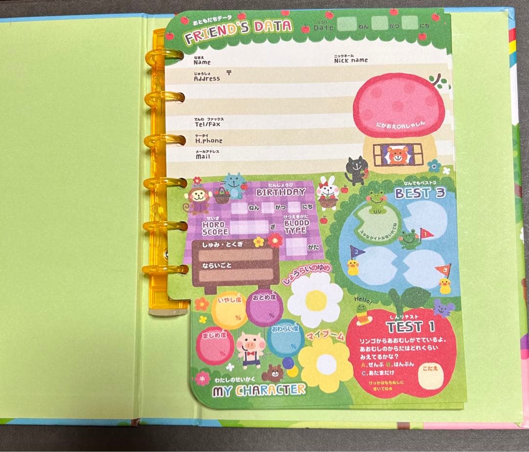 激レア 美品 平成レトロ プロフィール帳 ♡ 平成レトロ プロフィール帳