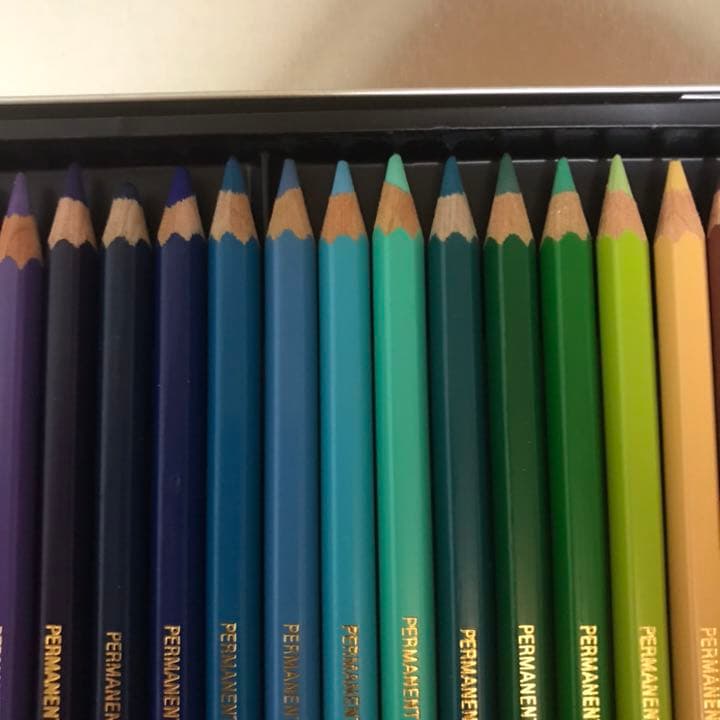 caran d'ache 油性 色鉛筆 30色