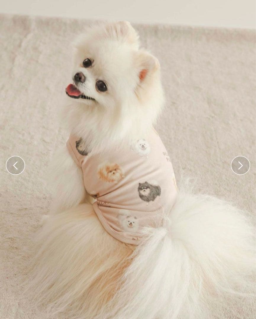 限定セール】ジェラートピケ ポメラニアン柄カットソープルオーバー