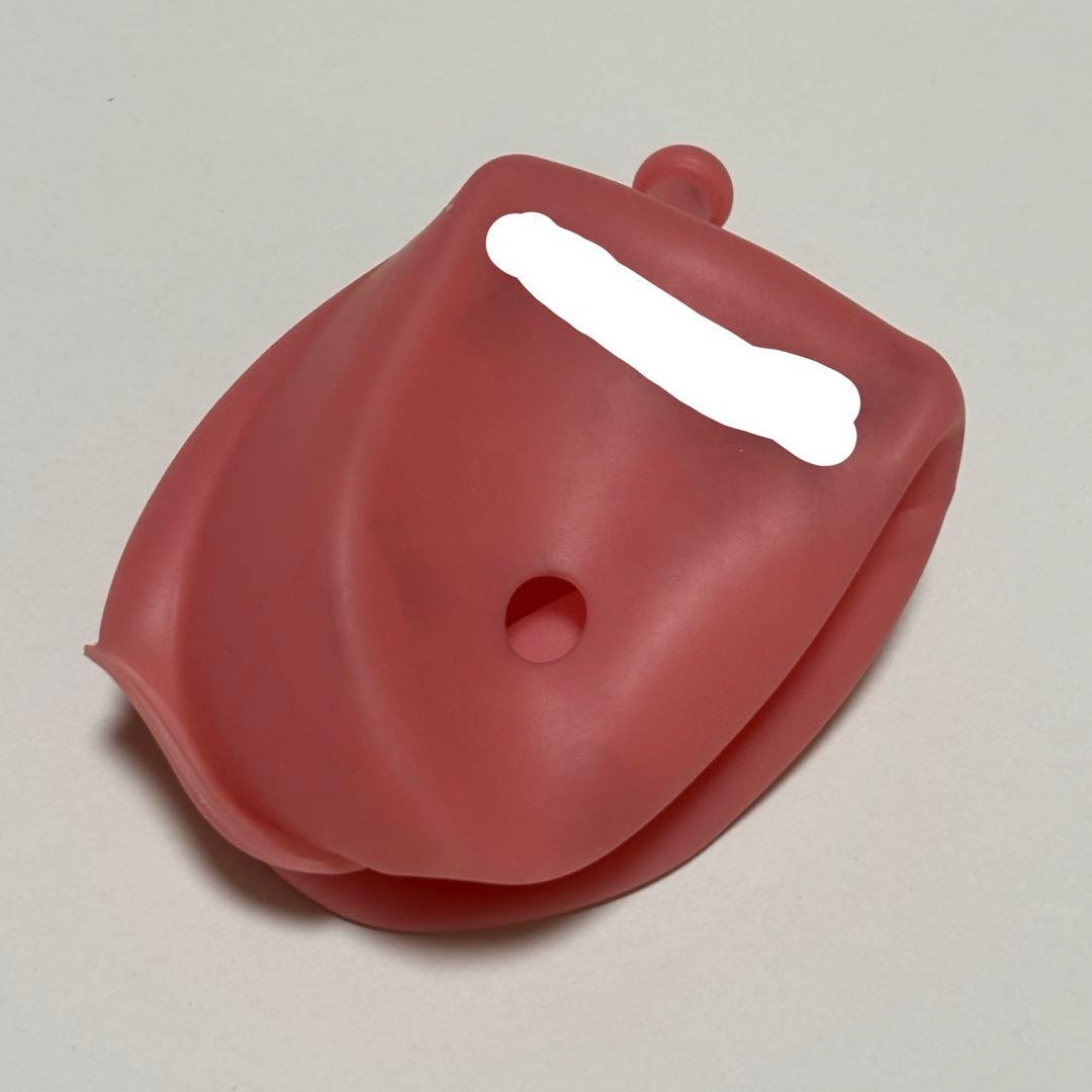 ニッシン　歯科模型　額模型　歯科衛生士　NISSIN デンタルモデル