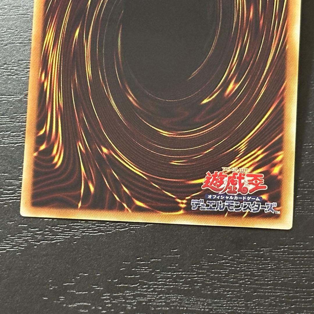 遊戯王 ブラックパラディン レリーフ