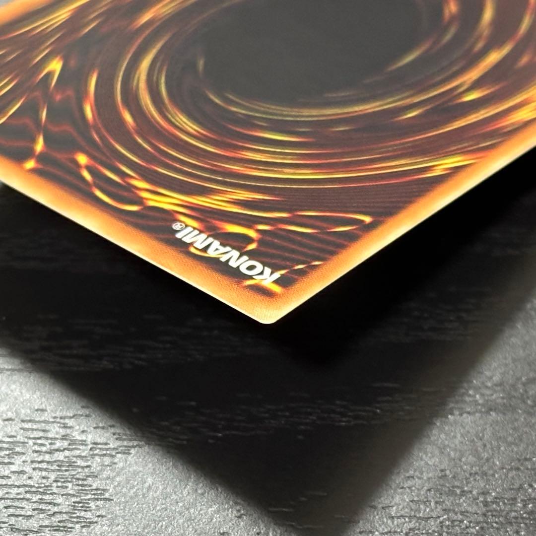 遊戯王 ブラックパラディン レリーフ