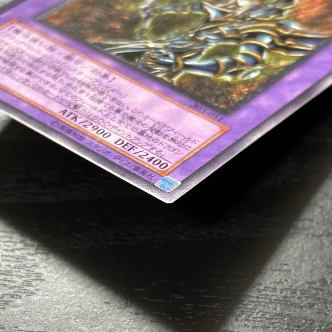 遊戯王 ブラックパラディン レリーフ