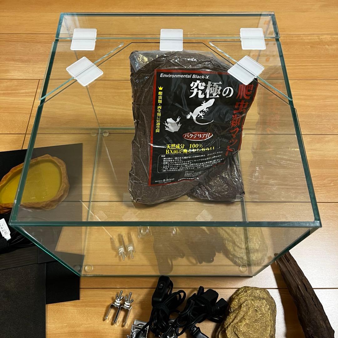 カナヘビ・爬虫類飼育11点セット 爬虫類 飼育セット11点 カナヘビ