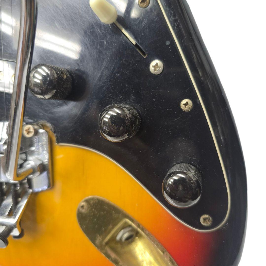 ジ*グ様 カスタマイズエレキギター FERNANDESプレート fenderピッ