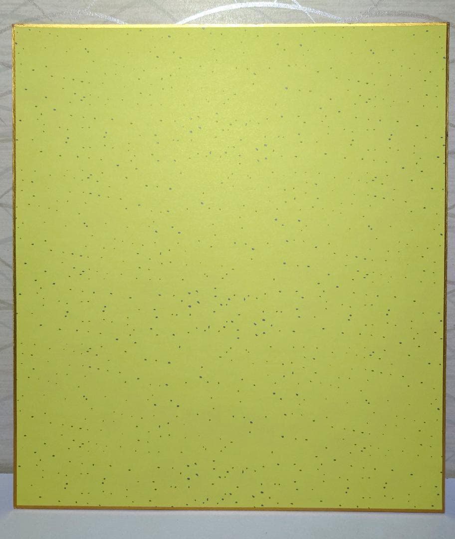 美品 色紙直筆サイン入り ZARD 坂井泉水 額付き 写真3枚セット - メルカリ