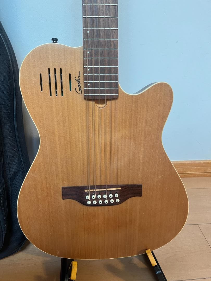 Godin ゴダン アコースティックギター A-12 12弦ギター エレアコ