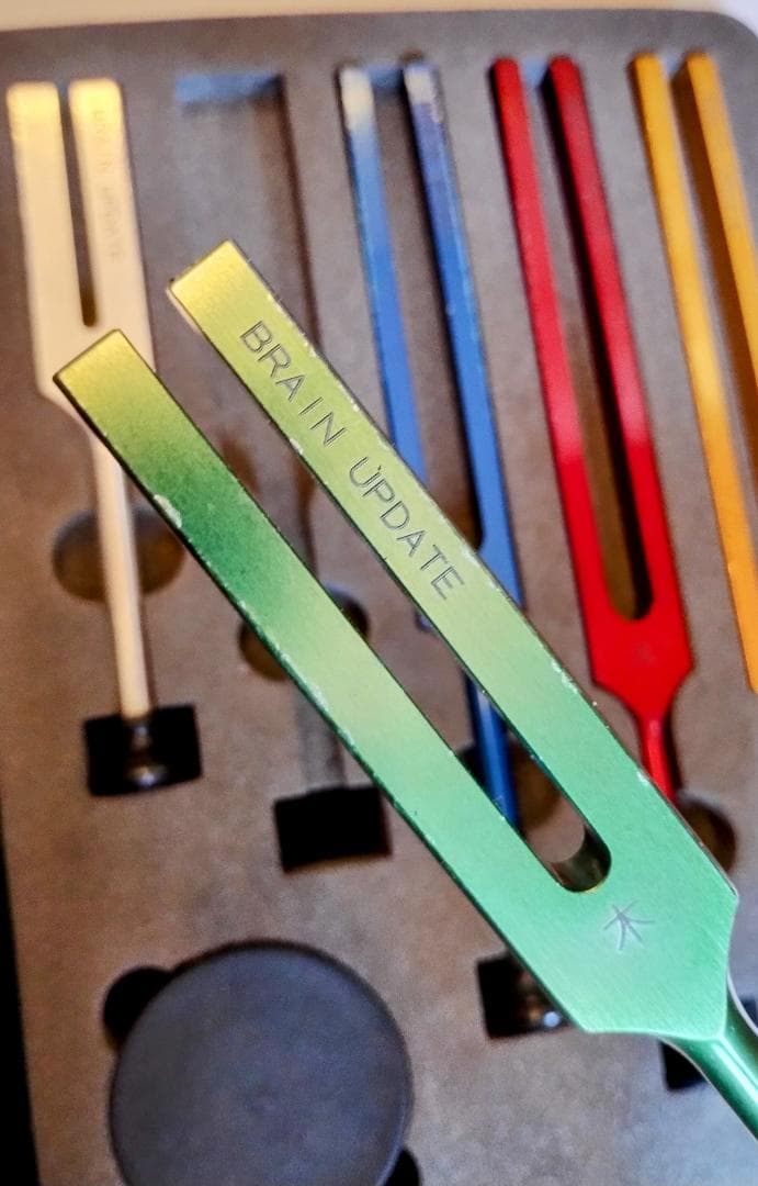 五行音叉 セラピーチューナー 音叉 五行 ニチオン ブレイン