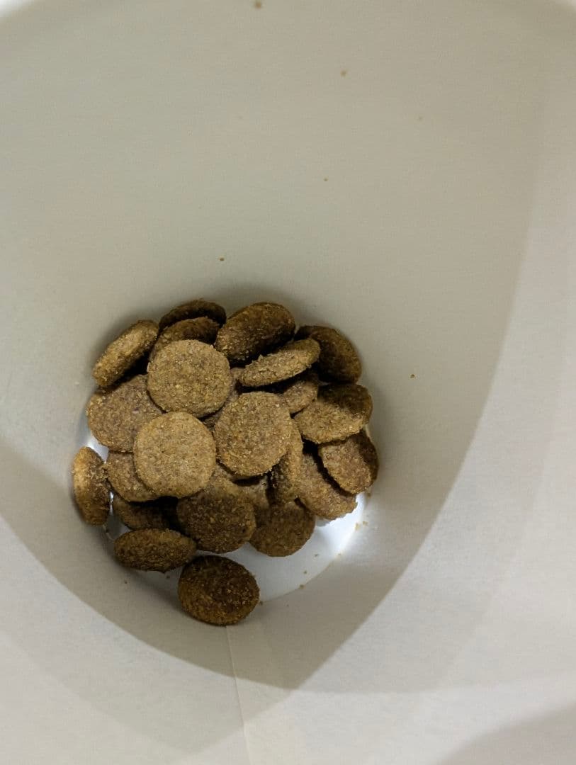 16日まで限定値下げファーストチョイス 成犬用チキン 18キロ