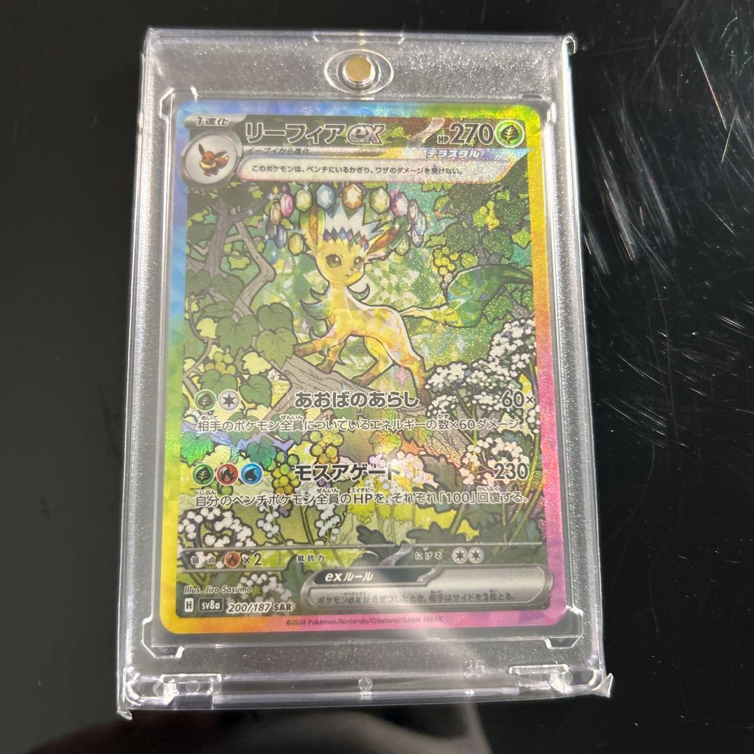 本*す様 美品)テラスタルフェスex ブイズ9種sarまとめ売りUVローダー付