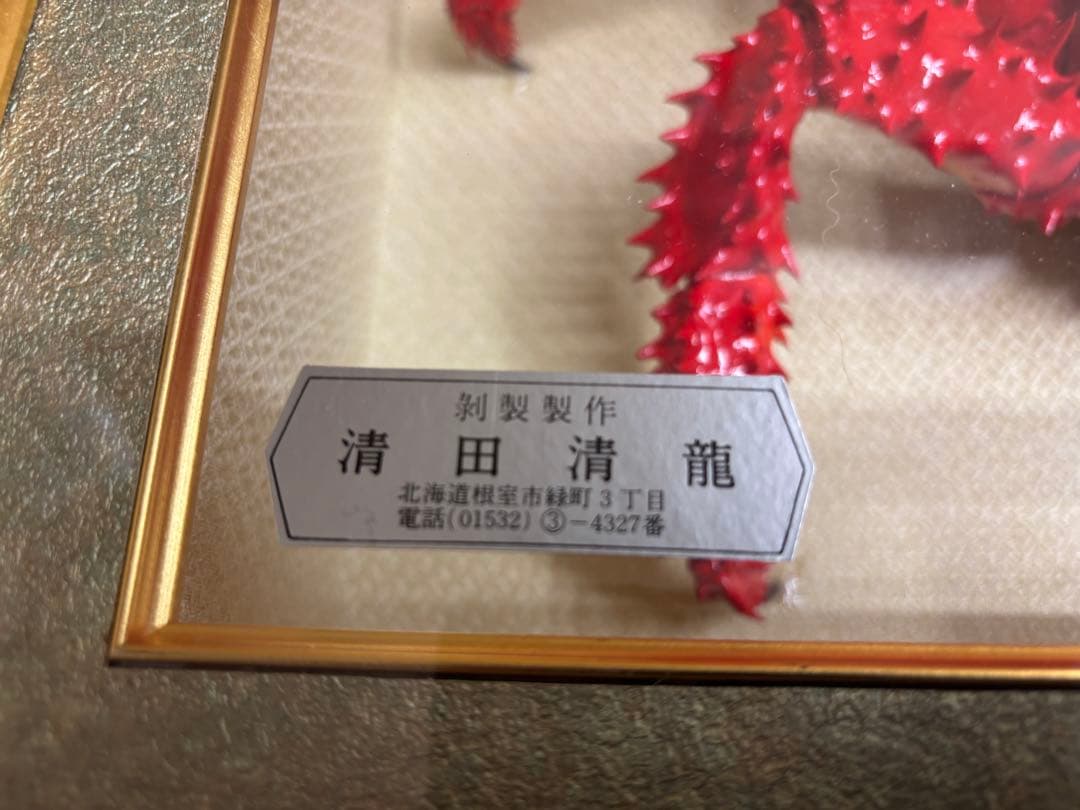 根室　花咲蟹の剥製額　清田清龍作　レトロ　ビンテージ　インテリア　貴重