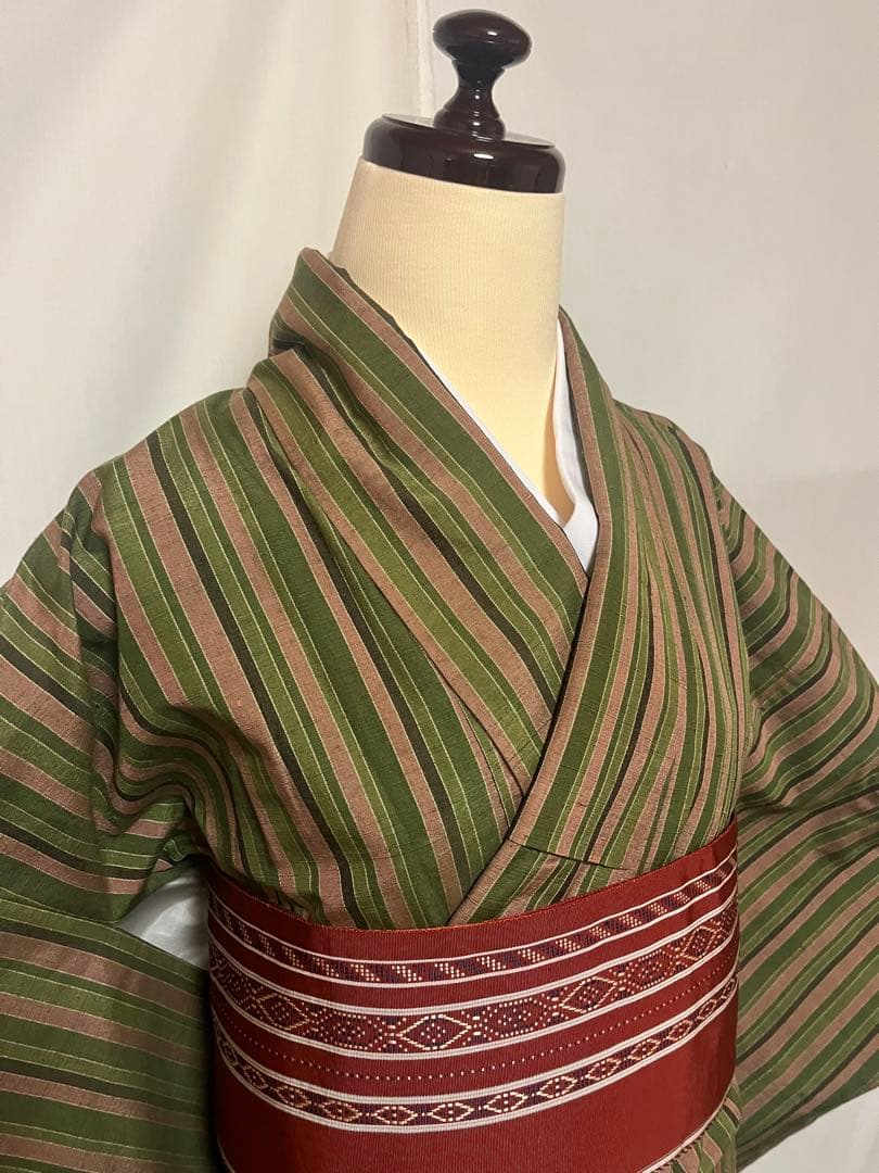 ☘️早い者勝ち☘️【国宝品】○岐阜県無形文化財【郡上紬】○幻の紬