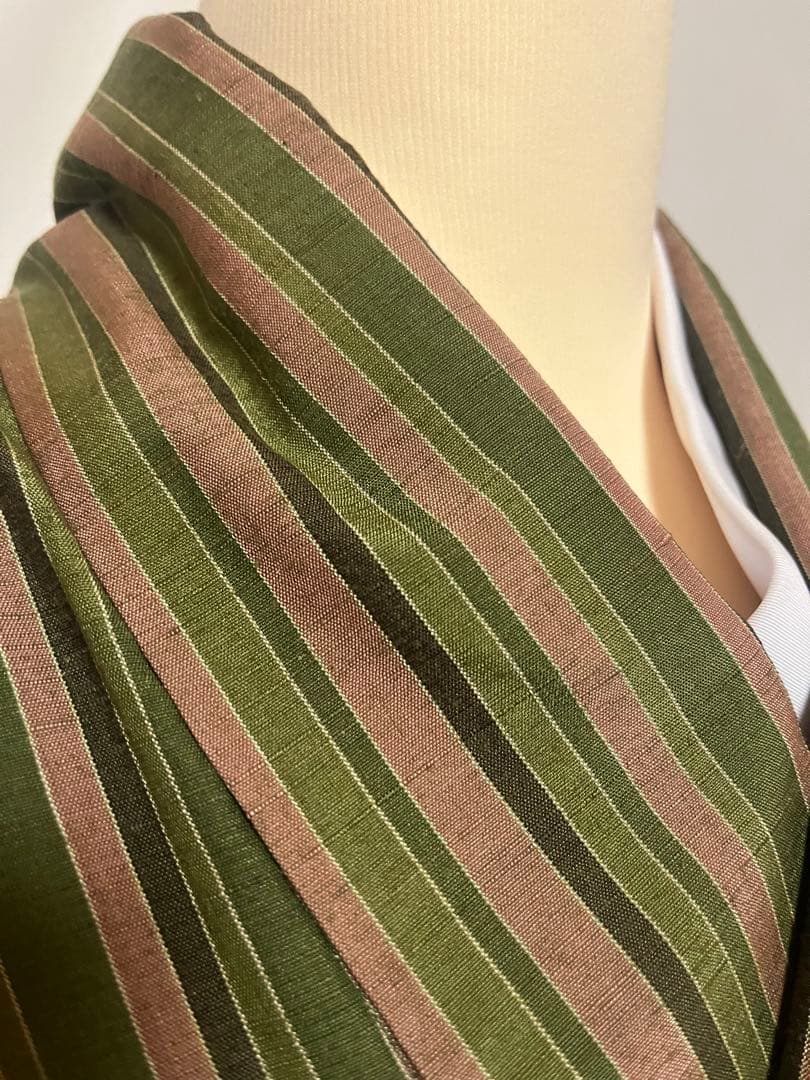 ☘️早い者勝ち☘️【国宝品】○岐阜県無形文化財【郡上紬】○幻の紬