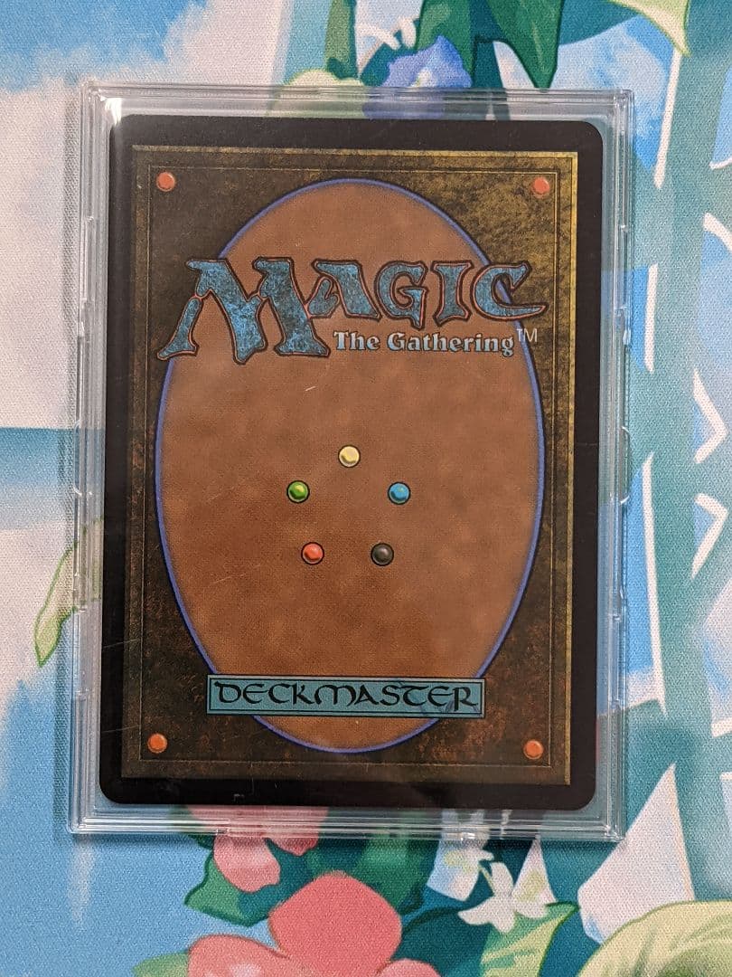 MTG アサシンクリード アテナイの教師、ソクラテス シリアルナンバー