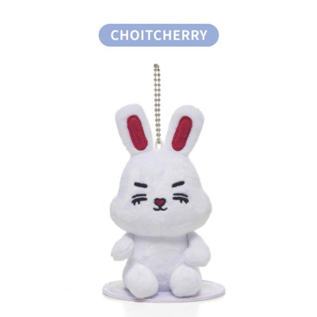 miniteen ミニティーン エスクプス キーリング チェチェリー seventeen