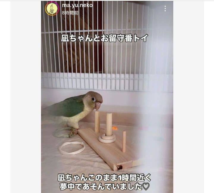 インコ フォージングトイ 輪投げセット バルサ スタンドパーチ バードトイ
