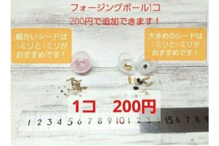 インコ フォージングトイ 輪投げセット バルサ スタンドパーチ バードトイ