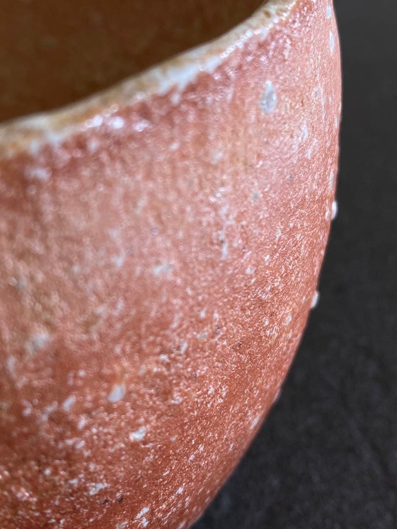 信楽焼 茶碗 井村侊生 #152