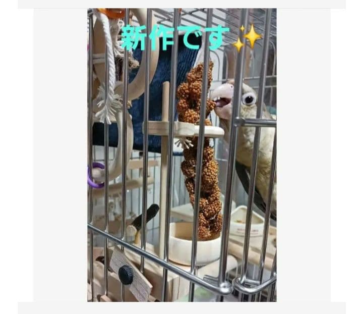 a22 粟の穂ホルダー バードトイ インコ 止まり木 - メルカリ