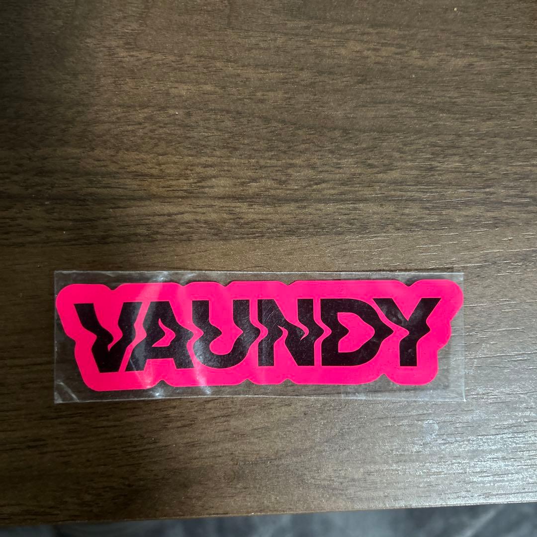 VAUNDY ロゴステッカー ピンク - メルカリ