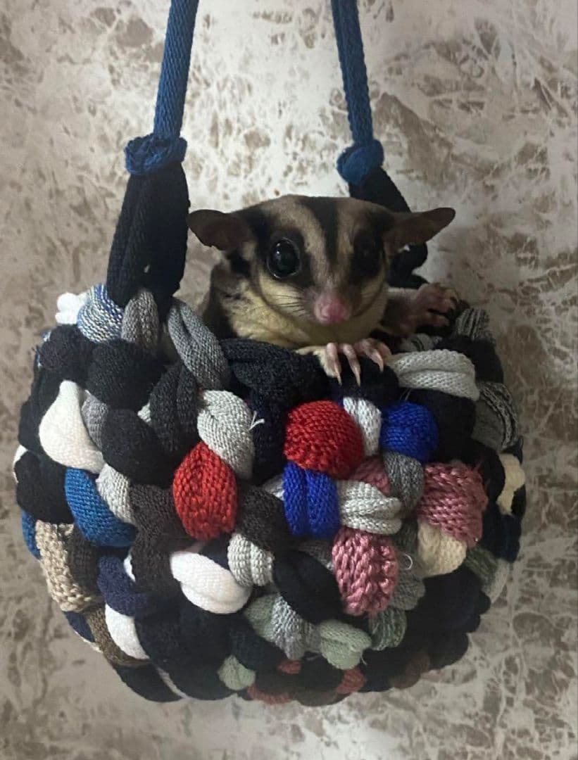 オーダーページ♡モモンガポーチ♡ハンギングバスケット 1点