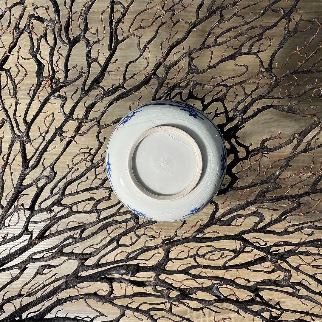 骨董　古伊万里　九谷　古染付　希少　鮎　遊魚　図案　豆皿　※難あり、参考品用