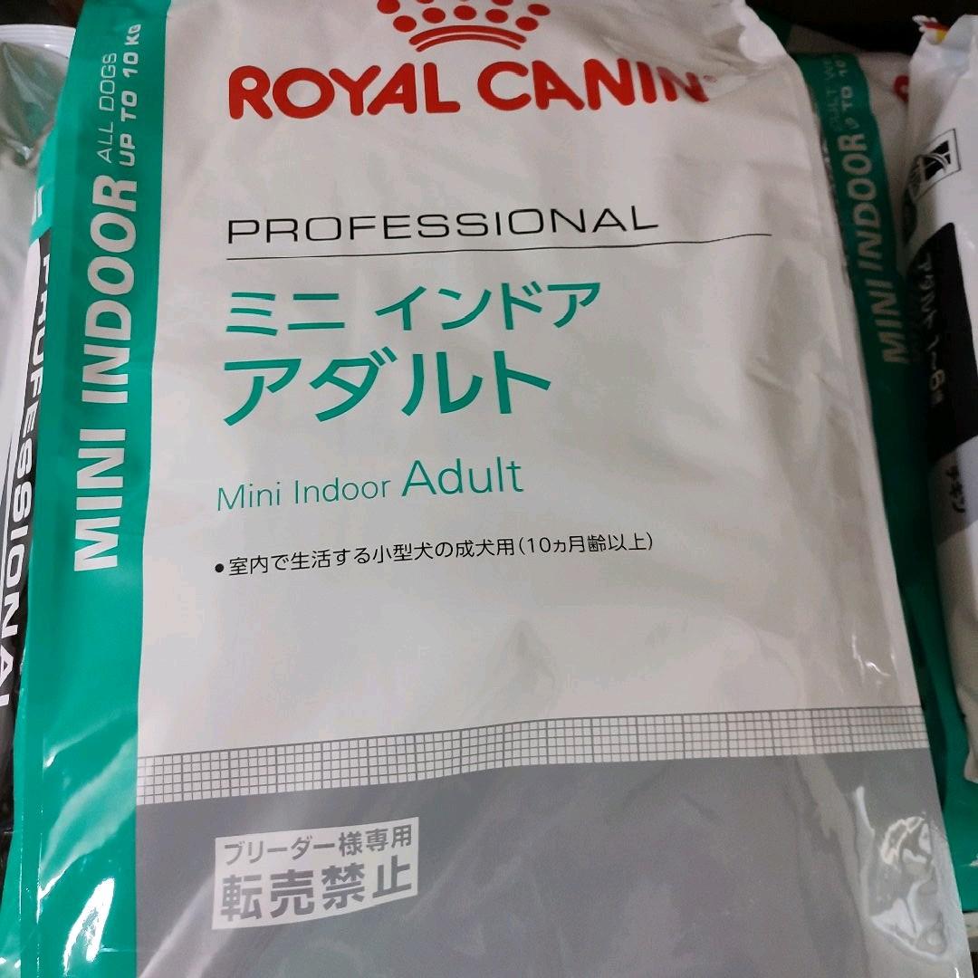 オンライン ロイヤルカナン ミニインドアアダルト10kg 室内で生活する