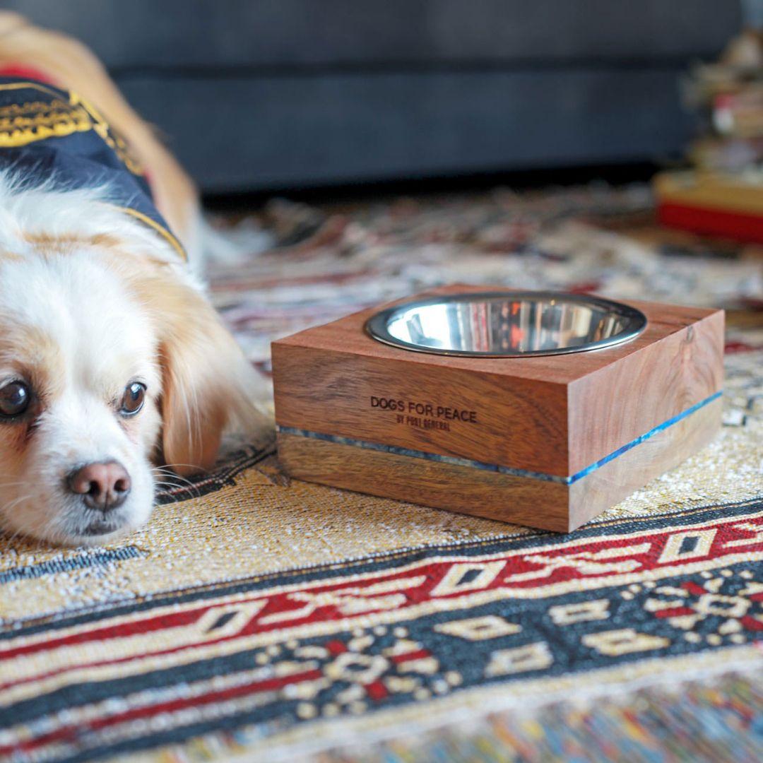 新品 ドッグボウル 犬用 食器 餌 水 テーブル インテリア 小物 雑貨 新品 ドッグボウル 犬用 食器 餌 水 テーブル インテリア 小物 雑貨