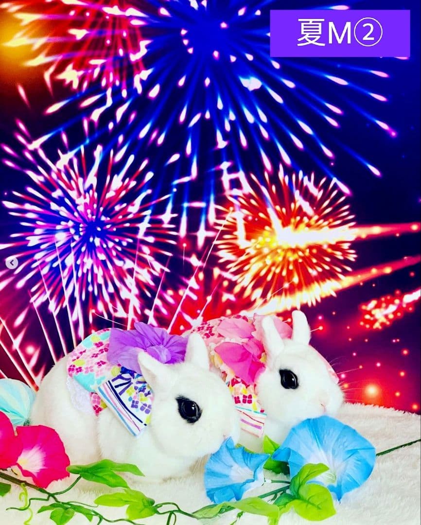 花火背景布夏M③ 夏祭り、ペット撮影用フォトブース トリミング