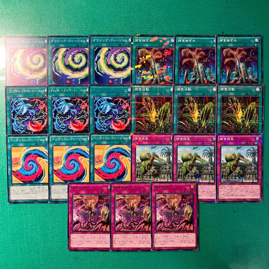 遊戯王 プレデタープランツセット④