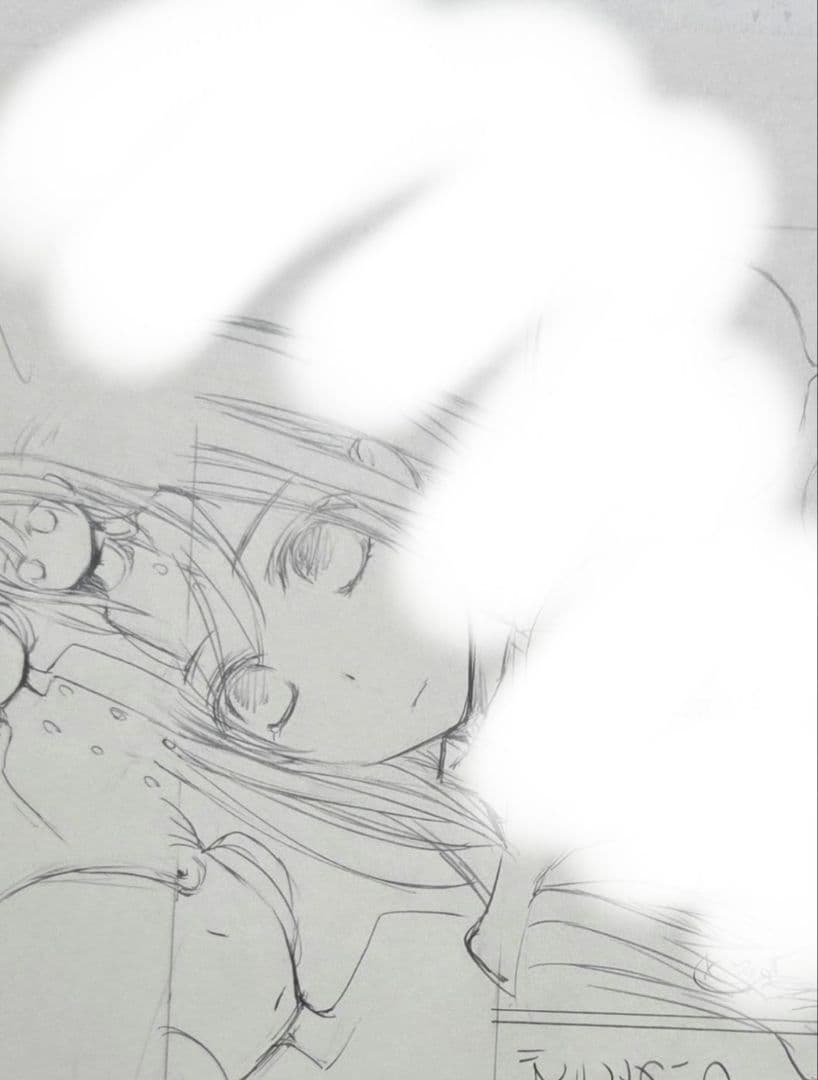 ヴァンパイア騎士 原画展 直筆 「原稿下絵」2枚 樋野まつり先生 - メルカリ