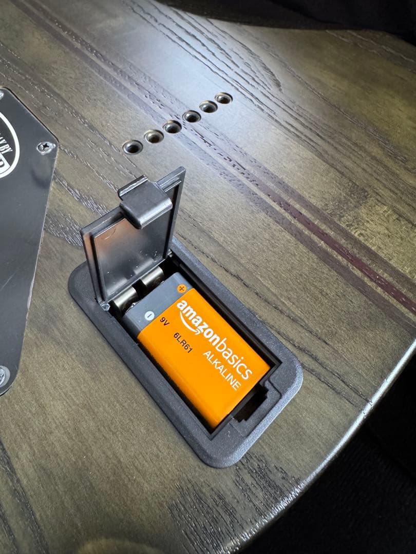 SCHECTER シェクター エレキギター C-1 SLS Evil Twin