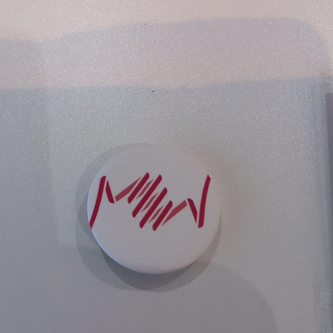 万博フランス館 ピンバッジ　缶バッチ　2点　万博フランスパビリオン　ピンバッチ