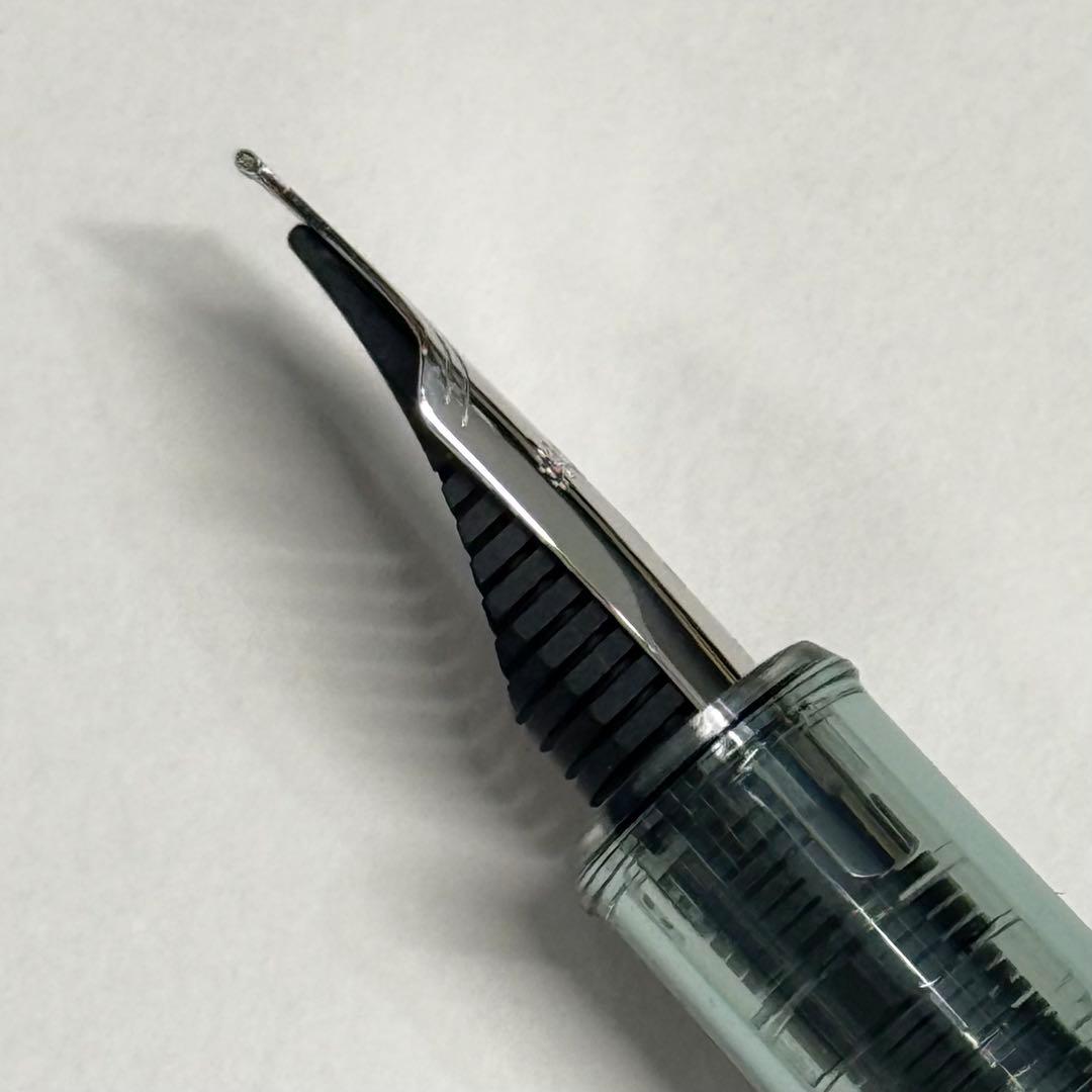 PLATINUM プラチナ 3776 センチュリー 富士雲景 絹雲 万年筆 中字