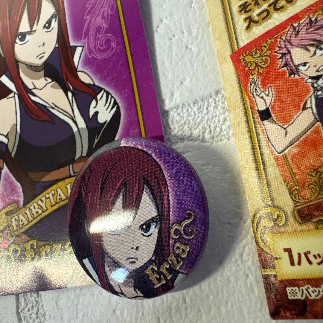 フェアリーテイル　缶バッジコレクション　コンプリートセット
