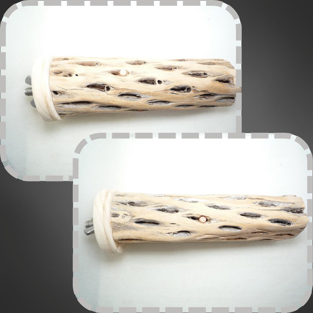 鳥用品 止まり木 カクタス スケルトン パーチ 太めNo.239 鳥用品