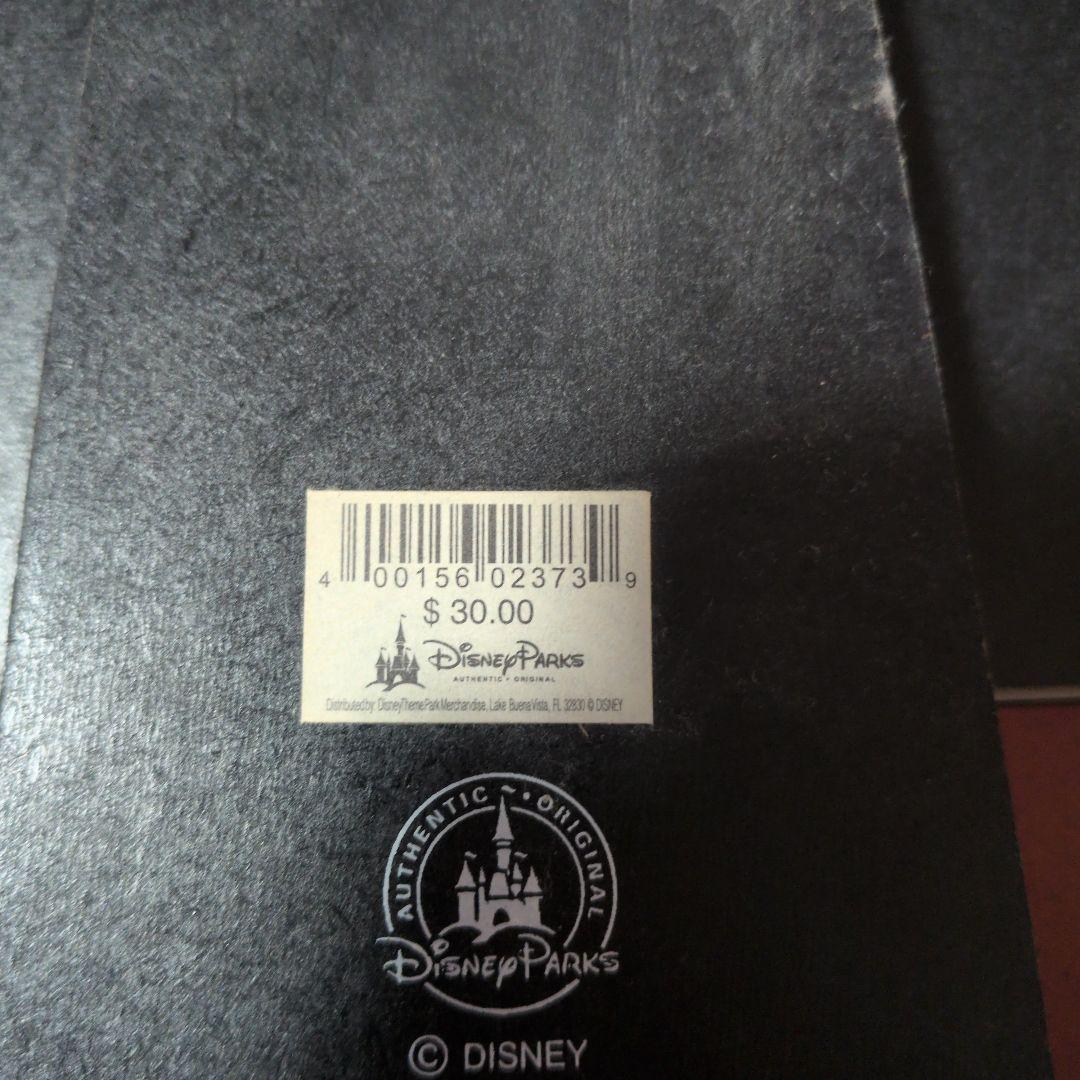 ミッキーマウス 卒業アートフレーム