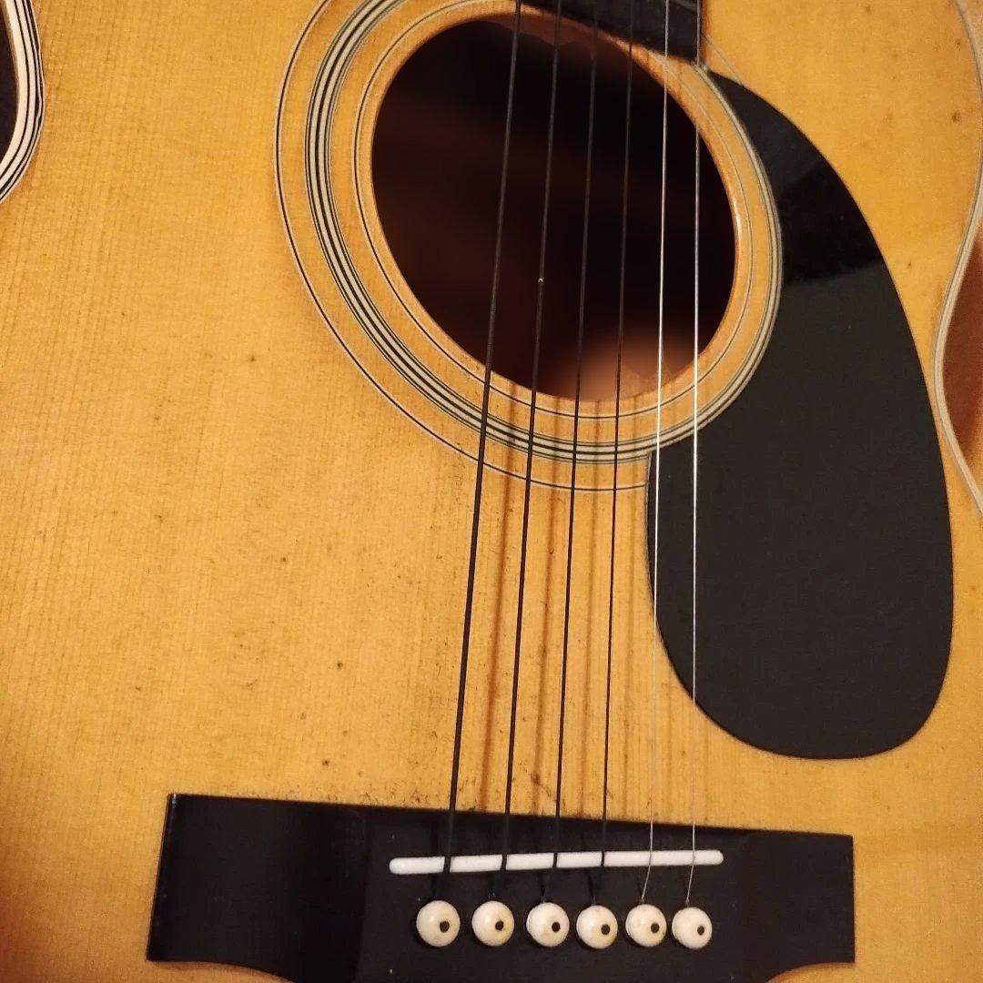 Morris アコースティックギター F-18